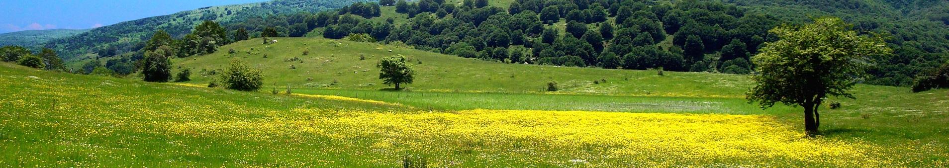 Villas in Sicily and holiday homes near the Nebrodi Mountains