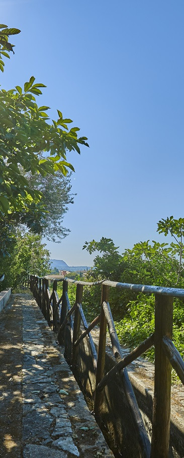 Agapanto Cottage Enquire now