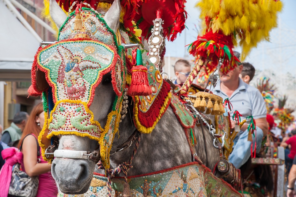 19_Sicilian-cart_(3)