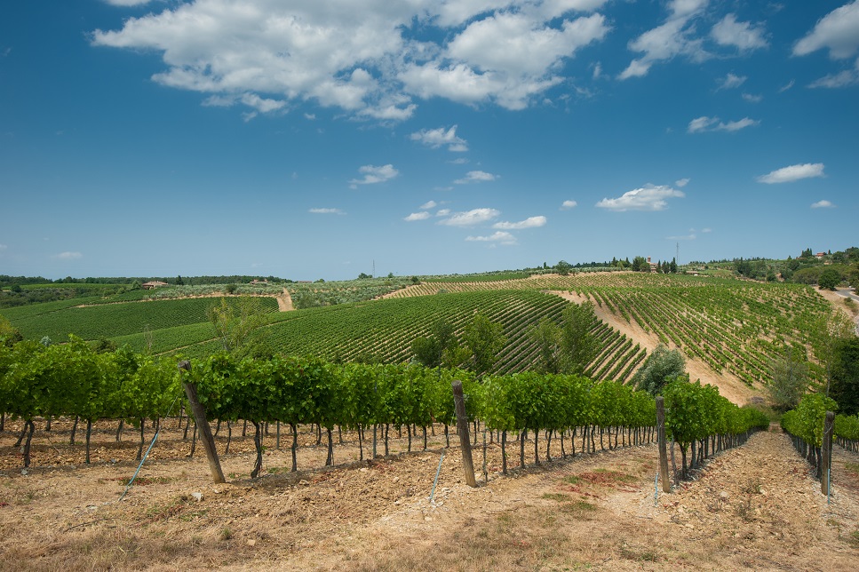 1_marsala-wine-sicily