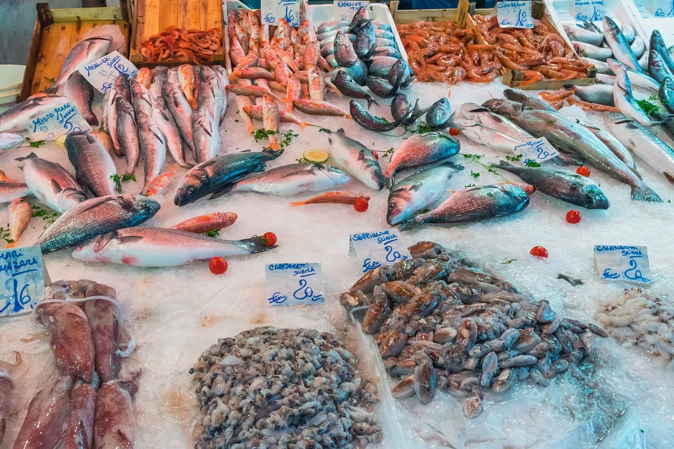 2_street-market-fresh-fish