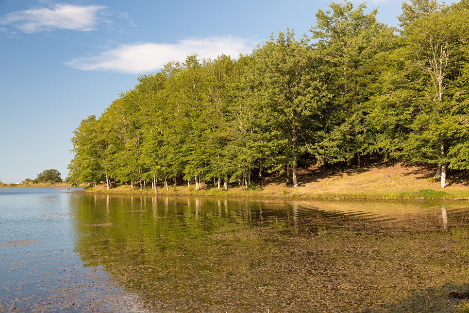 Nebrodi National Park