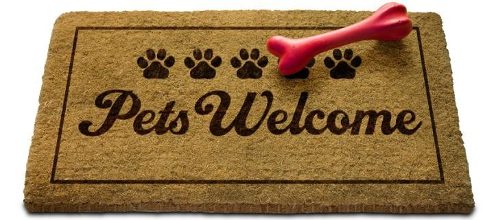Pets welcome holiday homes in Sicily